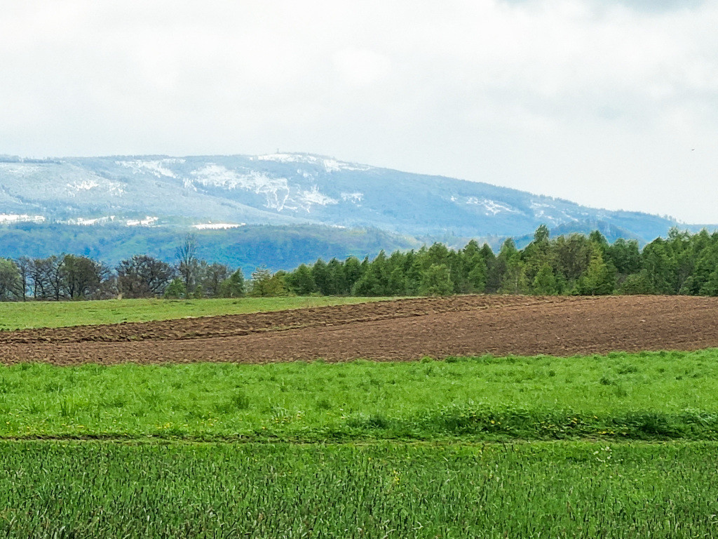 Działka Sprzedaż Domaszków