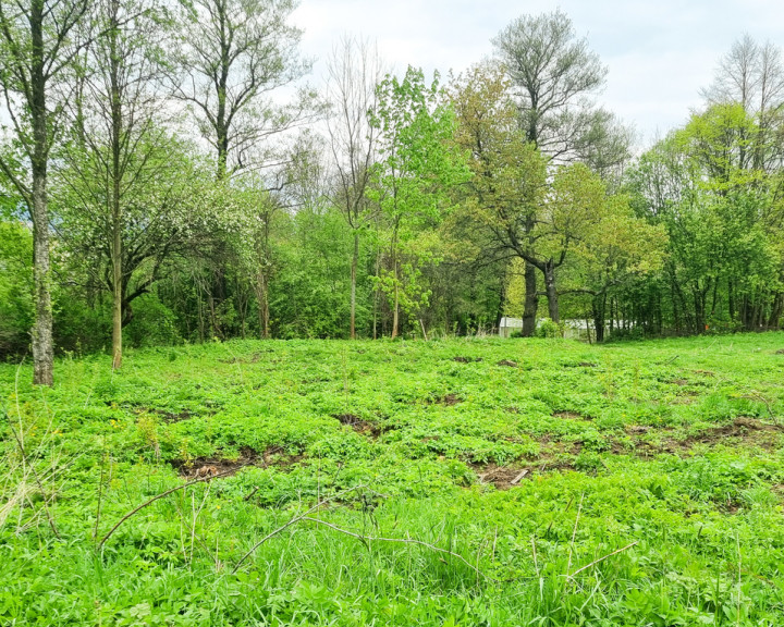 Działka Sprzedaż Domaszków
