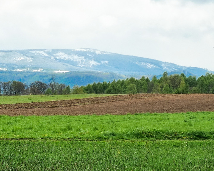 Działka Sprzedaż Domaszków