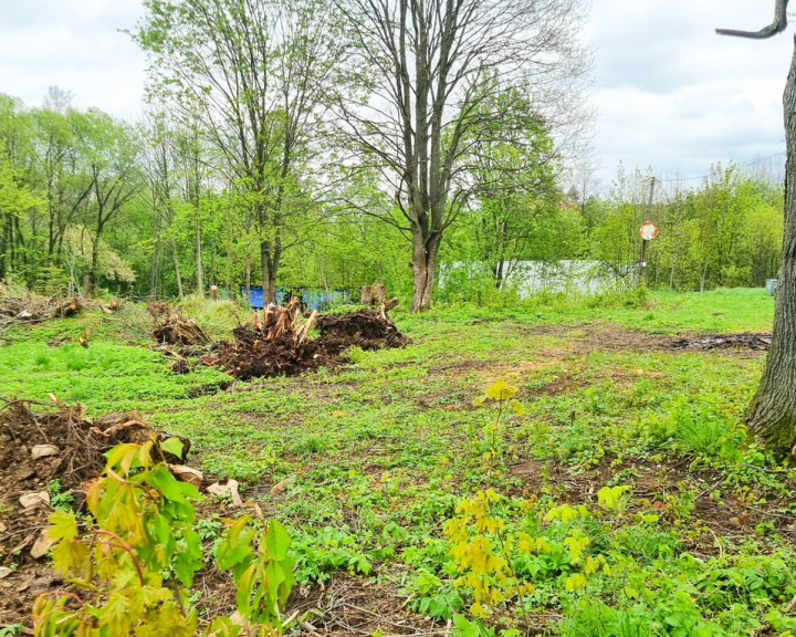 Działka Sprzedaż Domaszków