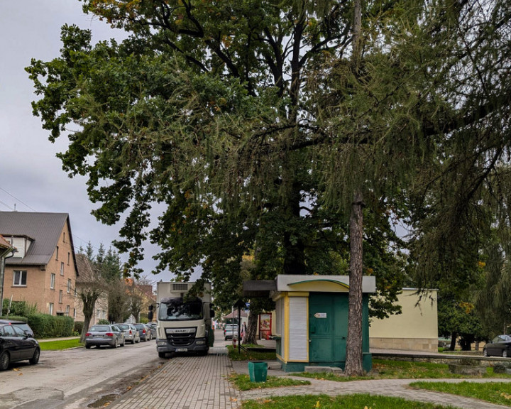 Obiekt Sprzedaż Bystrzyca Kłodzka Marii Konopnickiej