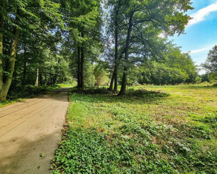 Działka Sprzedaż Stary Wielisław