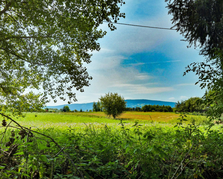 Działka Sprzedaż Stary Wielisław