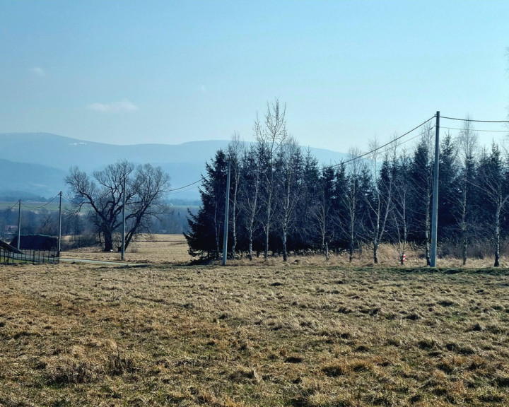 Działka Sprzedaż Długopole Dolne