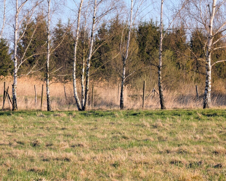 Działka Sprzedaż Długopole Dolne