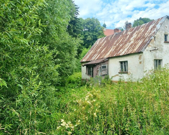 Dom Sprzedaż Wyszki