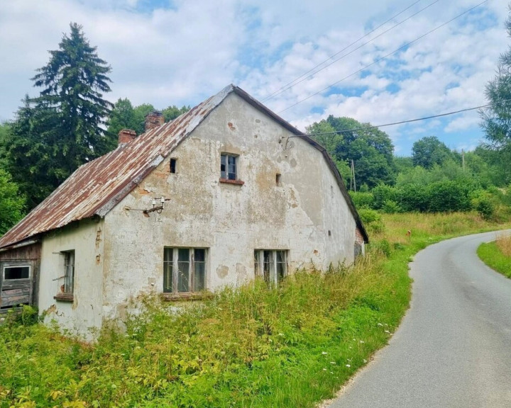 Dom Sprzedaż Wyszki
