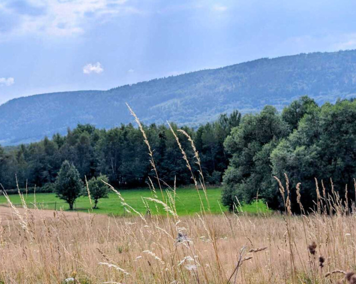 Działka Sprzedaż Wyszki