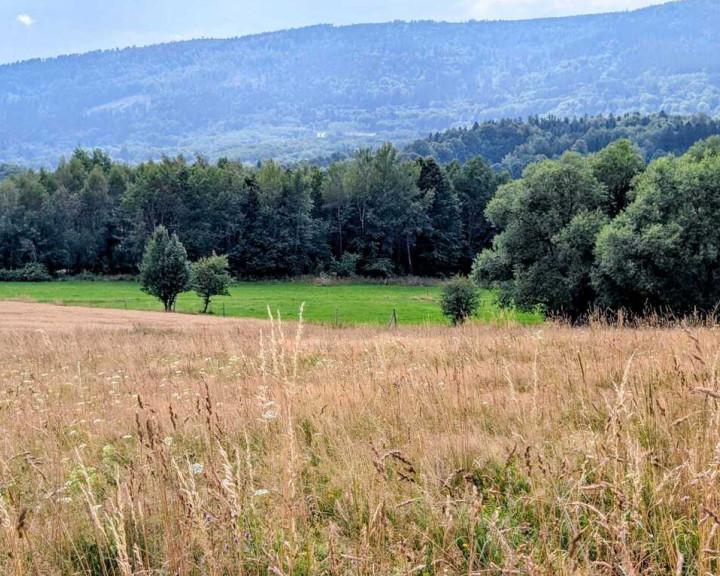 Działka Sprzedaż Wyszki