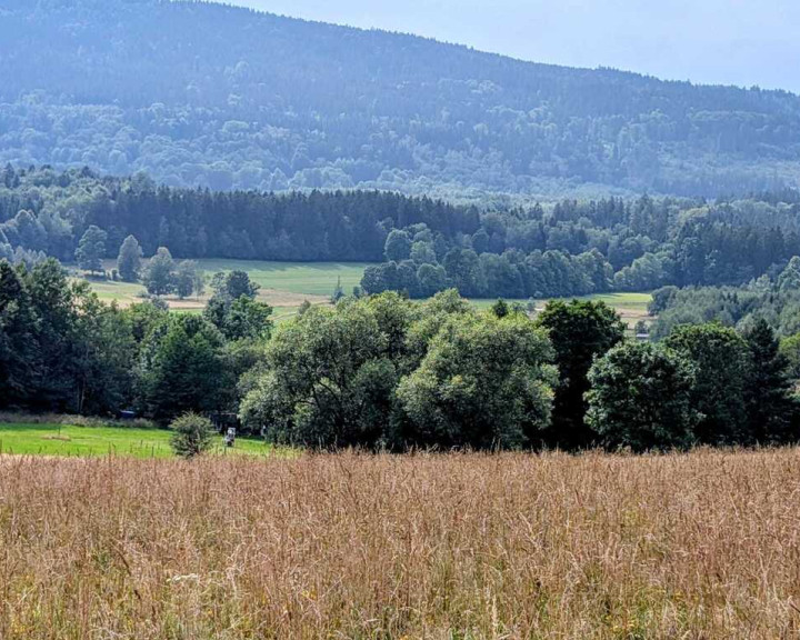Działka Sprzedaż Wyszki